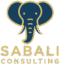 sabali consulting logo – goldenes elefantensymbol mit modernem design