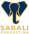 sabali consulting logo neu